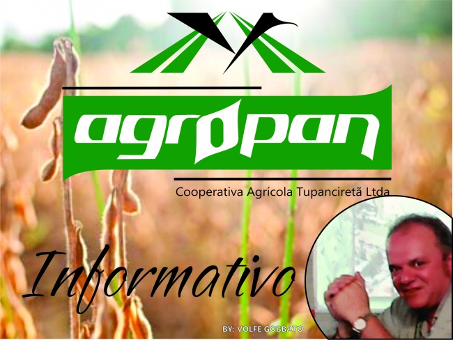 Volfe Gobatto, gerente geral da AGROPAN analisa mercado da soja, safra de inverno e plantio da lavoura de soja