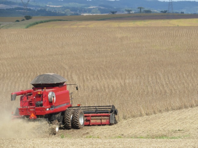 ESPAO AGRCOLA: Com boa produtividade colheita de gros de vero se encerra no Estado