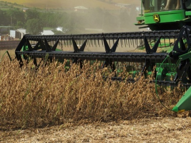 Espaço Agrícola: Safra de grãos tem colheita concluída no RS