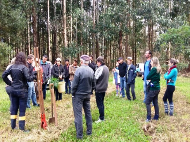 ESPAÇO AGRÍCOLA: Curso de Produção Florestal será realizado em Santa Maria