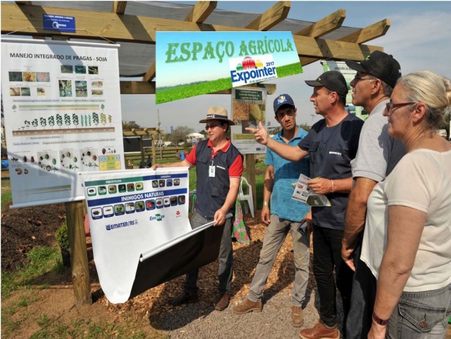 EXPOINTER - Emater/RS-Ascar apresenta projeto que proporciona ganho ambiental e incremento na renda dos produtores	