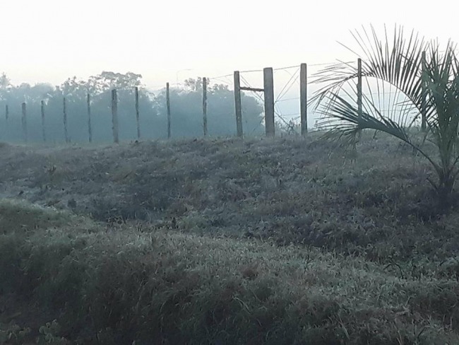 INMET registra a temperatura mais baixa do ano