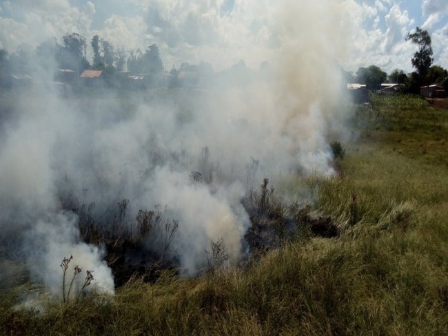 ABVT combate incêndio em vegetação 