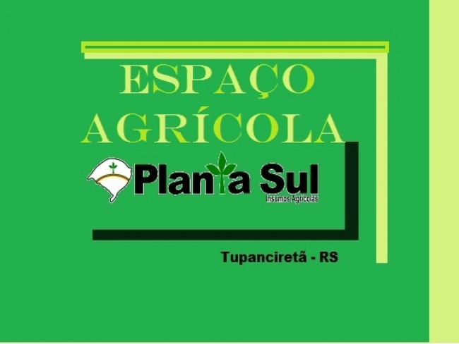 Soja: produtor gacho registra produtividade de quase 124 sacas por hectare