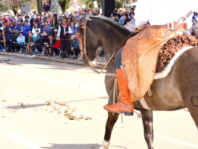 Desfile encerra a Semana Farroupilha em Tupanciret 