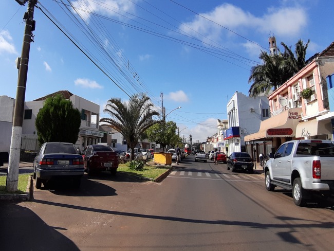 Avenida Vaz Ferreira, 95 anos