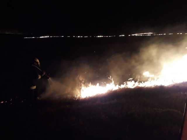 VDEO: fogo consome 60% de rea rural no interior de Tupanciret 