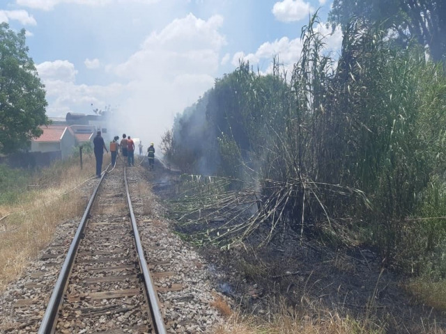 Vdeo: UBVT atende ocorrncia de fogo em vegetao na rea central 