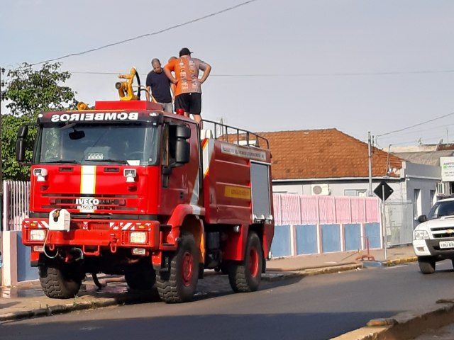 Caminhão Iveco Magirus será oficialmente apresentado à comunidade