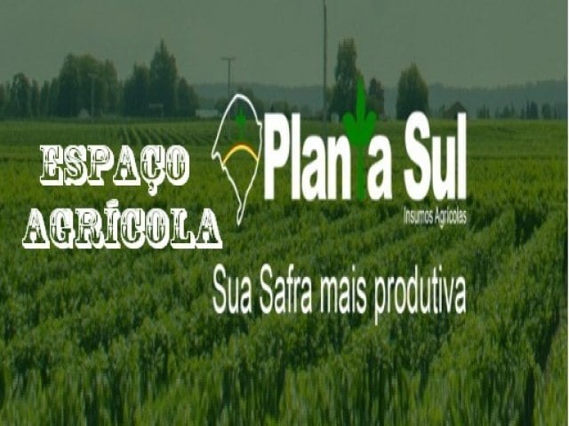  Plantio de soja  finalizado no Estado