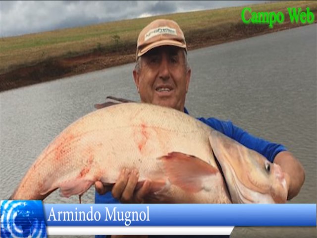 Programa Campo Web entrevistou o especialista em agronomia, Armindo Mugnol