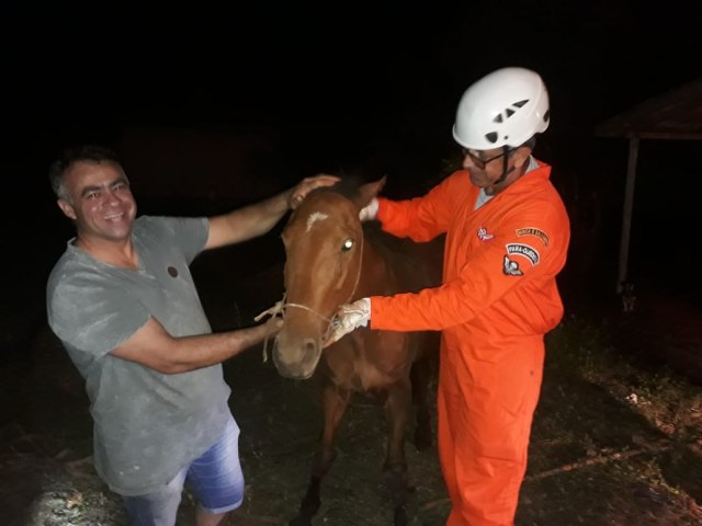 Bombeiros Voluntrios de Tupanciret realizam salvamento de animal