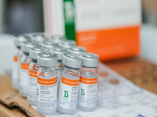 Estado vive a expectativa de receber mais de 700 mil doses de vacina contra a covid-19 até o final de março 
