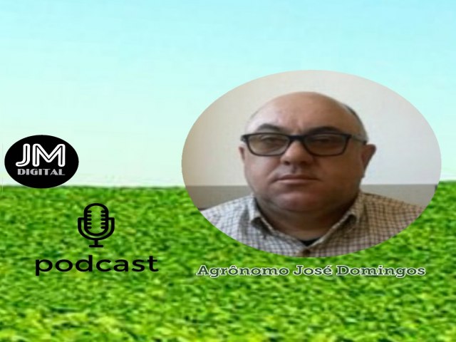 Podcast: José Domingos repercute as últimas notícias do agro
