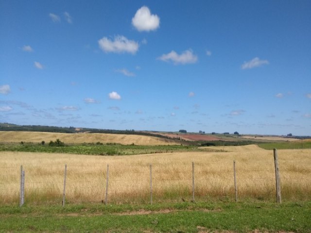 Atualizaes em normas relativas a defensivos agrcolas so publicadas pela Secretaria Estadual de Agricultura 