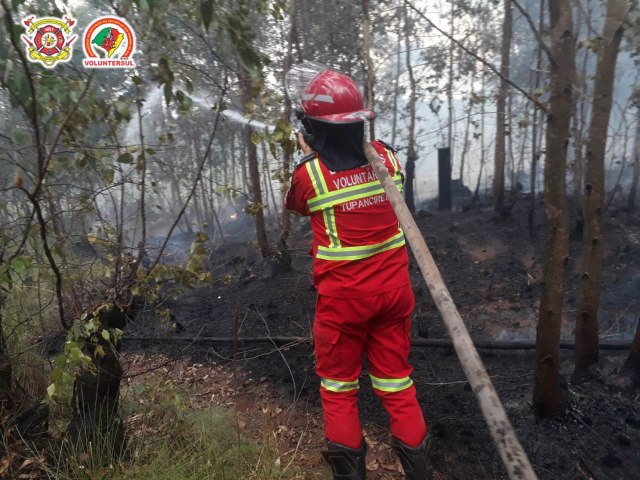 Incêndio em área de mata de eucalipto na Comunidade Nova Tupã é combatido pela ABVT 