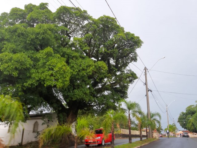 Últimas chuvas caíram de maneira mais bem distribuída em Tupanciretã