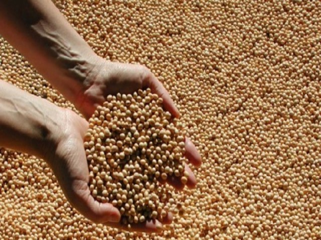 Aprosoja RS prev mximo de 5 milhes de toneladas de soja colhida na safra 2021/2022 