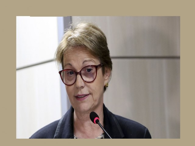 Brasil tem fertilizantes até outubro, garante ministra da Agricultura 