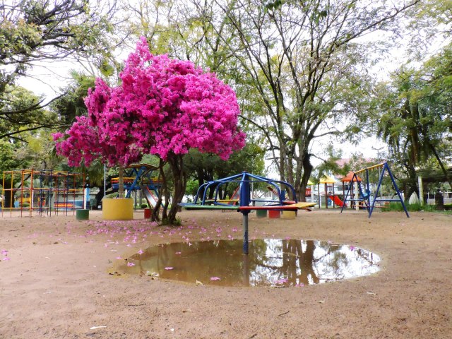 Acumulado de chuva passa dos 20mm e instabilidade se afasta