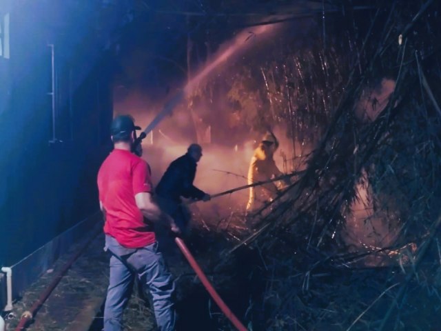 UBVT enfrenta fogo em vegetao urbana