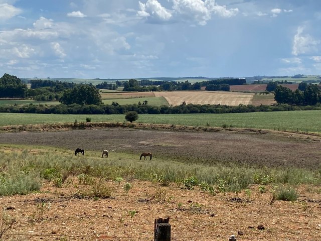 Assentados da reforma agrria j podem retirar o SOS Estiagem