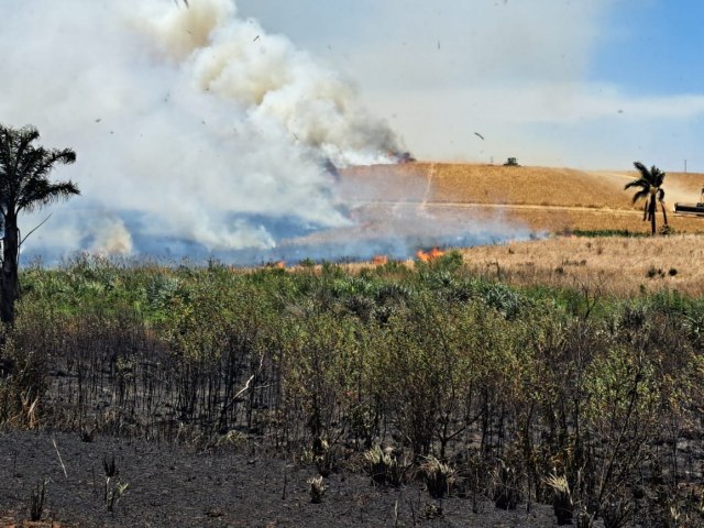 Fogo atinge 120 hectares de lavoura no interior de Tupanciret