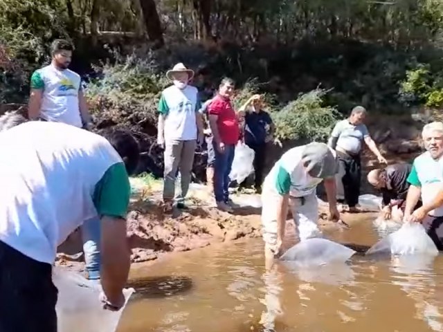 Associao Preserva Inhacapetum realiza ao ambiental