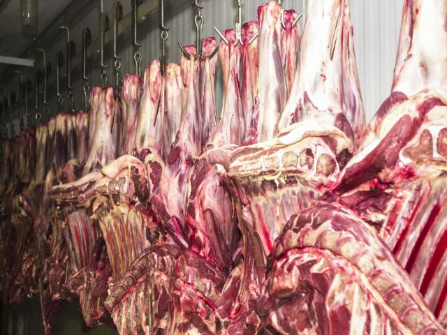 Exportao de carne bovina para a China  suspensa aps caso de doena da vaca louca no Par