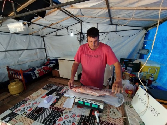 H 15 anos no ramo, produtor oferece peixe na Semana Santa em Tupanciret 