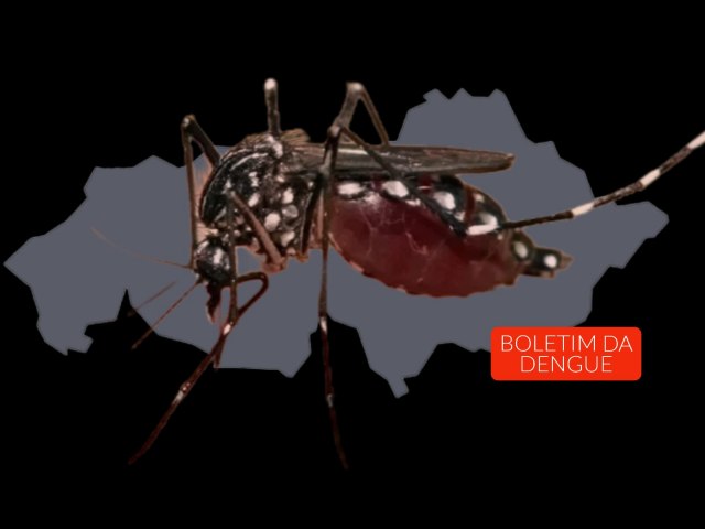 Boletim Dengue: Tupanciret possui cinco casos ativos