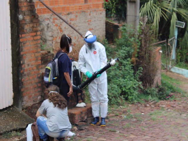 Legislao Municipal enrijece para coibir a proliferao do mosquito da dengue 