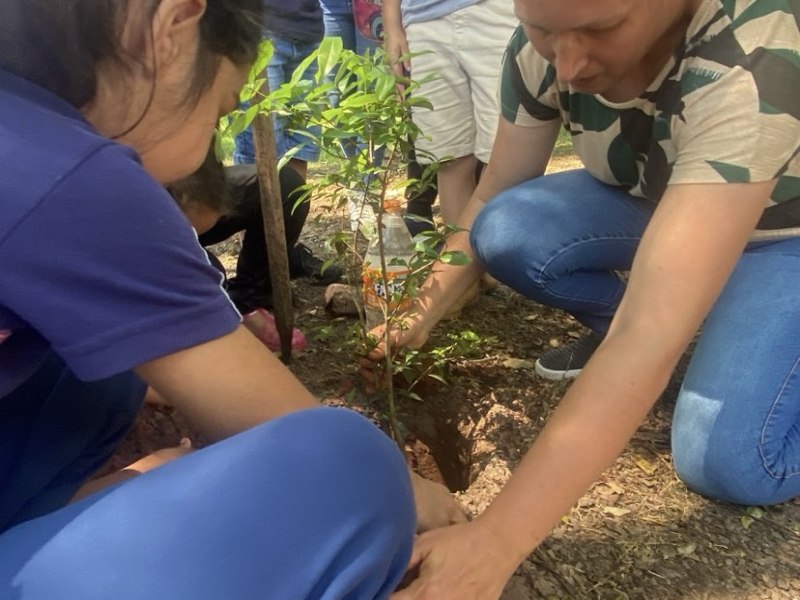 Plantio de rvores no Parque de Exposies Cel. Marcial Terra mantm tradio e vocao pela natureza