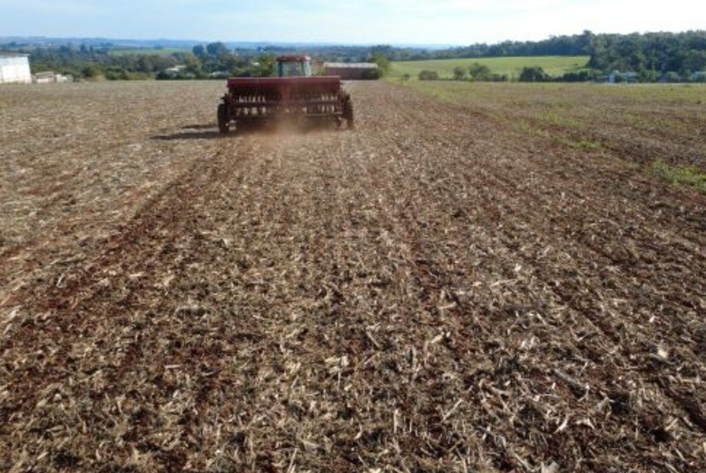 Semeadura de trigo evolui, com restrições pontuais decorrentes das chuvas Semeadura de trigo evolui, com restrições pontuais decorrentes das chuvas