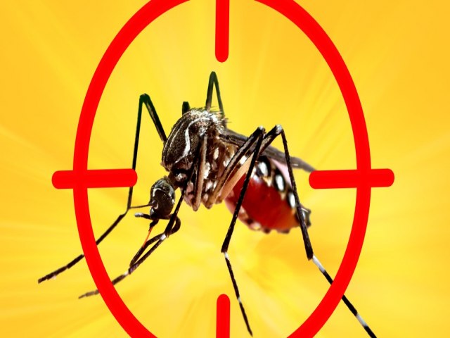 Goioer registra mais de 3 mil casos de Dengue: Populao alertada sobre a importncia do combate  epidemia