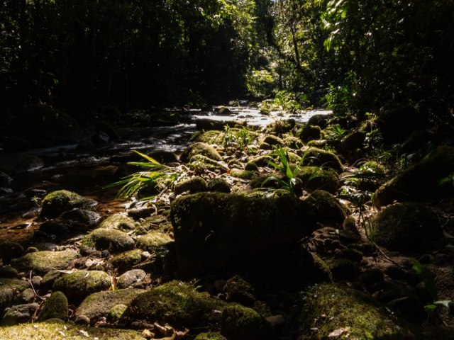 15 trilhas que revelam os atrativos da Mata Atlntica preservada no Litoral Norte de So Paulo