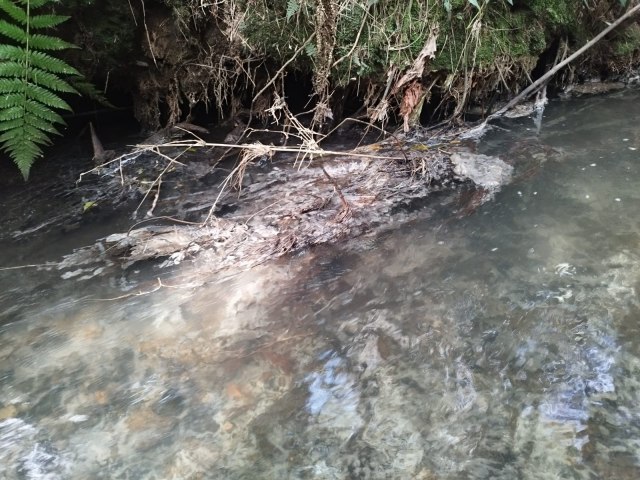 Falta de uma poltica de turismo e descaso com saneamento bsico decretam temporada de inverno sofrvel em Monte Verde