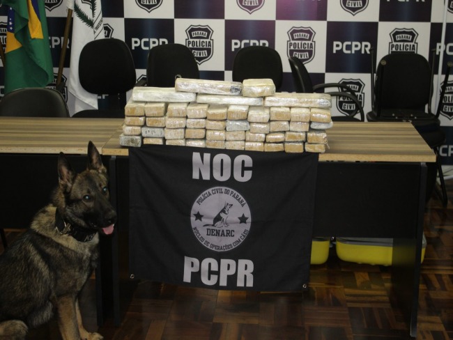 Polcia do Paran apreende 31kg de maconha que tinha como destino Taquara