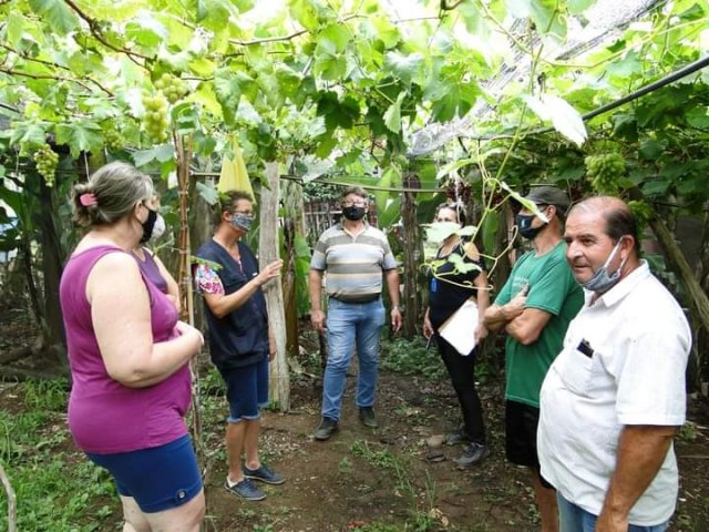 Secretrio de Agricultura de Igrejinha visita produtores de uva 