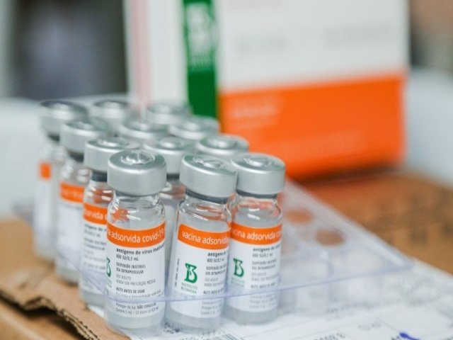Secretaria da Sade distribui nesta sexta-feira 645 mil vacinas contra o coronavrus