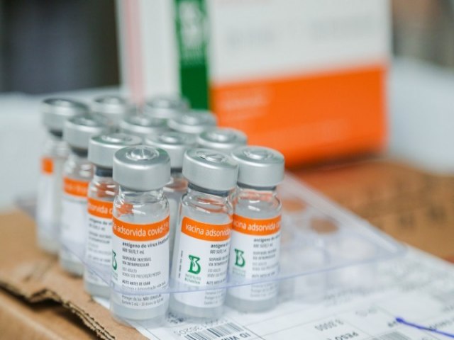 Estado recebe e distribui 242,9 mil doses de vacina contra a Covid-19 nesta sexta-feira