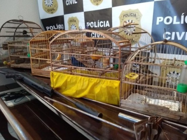 Polcia Civil realiza Operao em Trs Coroas para coibir a comercializao de pssaros e caa de animais silvestres