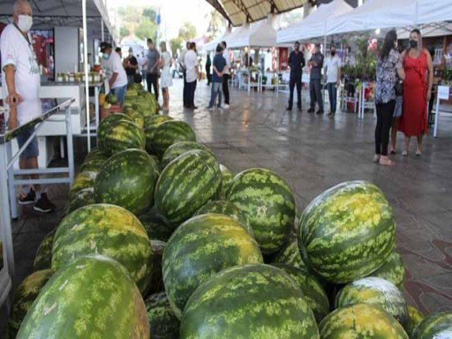 16ª Festa da Melancia de Parobé comercializa mais de 700 toneladas de melancia