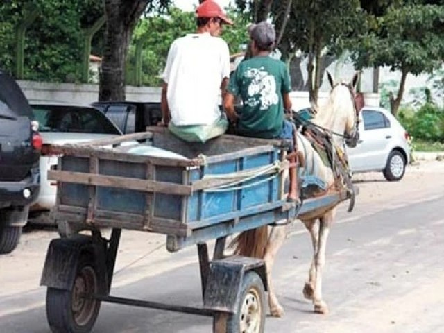 Prefeitura de Taquara inicia regularizao dos veculos de trao animal
