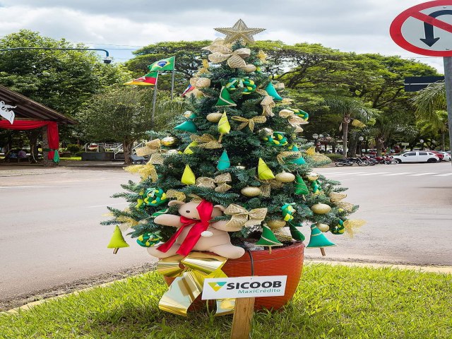 Festival de Pinheiros Natal na Cidade Verde encanta a comunidade 