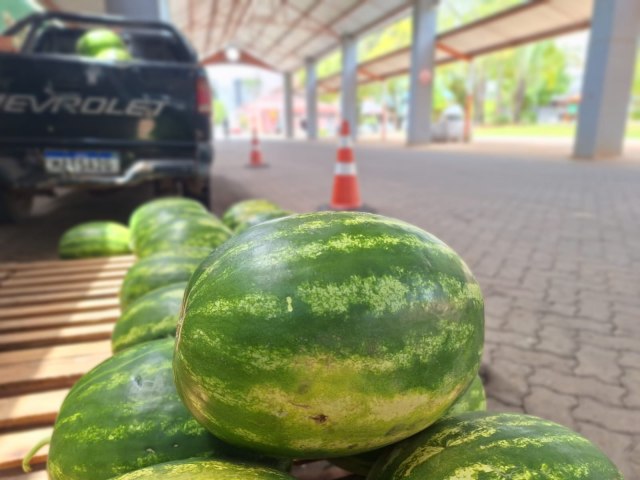 Iniciada a comercializao de melancias na Rua Coberta de Taquara