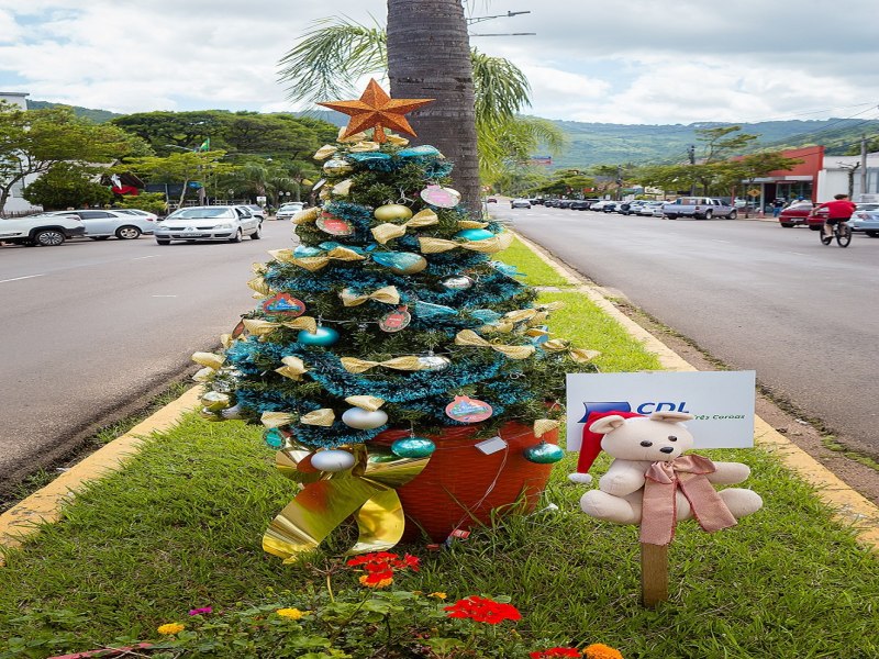 4 Festival de Pinheiros no Natal na Cidade Verde