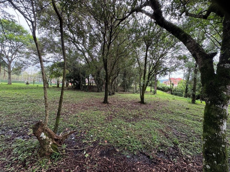 Definido terreno para construo da Creche de Educao Infantil Aquarela do Saber