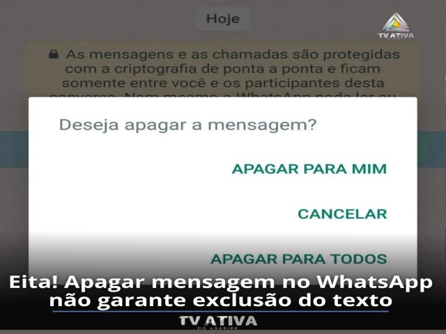 Apagar mensagem no WhatsApp no garante excluso do texto