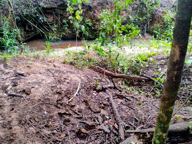 Polcia Ambiental embarga rea aps flagrar crime ambiental em Moreira Sales
